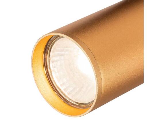 Трековый светильник Escada 20001TRA/01 BR, изображение 3