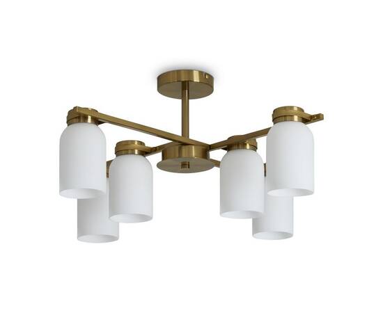 Потолочная люстра Freya Kamelia FR5446PL-06BS