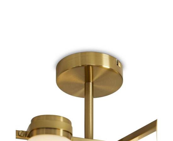 Потолочная люстра Freya Kamelia FR5446PL-06BS, изображение 2