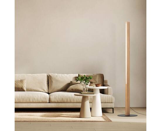 Торшер TK Lighting 1391 Teo, изображение 5