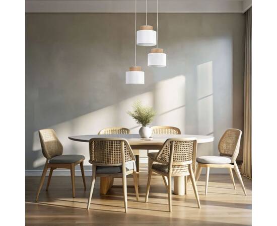 Подвесная люстра TK Lighting 2594 Duo, изображение 5