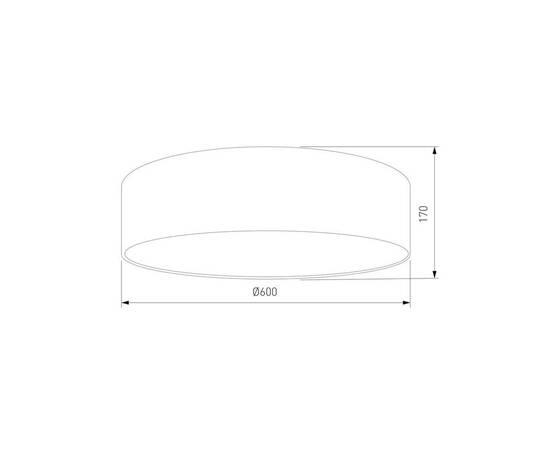Потолочный светильник TK Lighting 4660 Earth, изображение 2