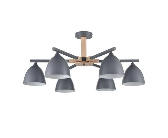 Потолочная люстра Lumion Moderni Colange 8096/6C