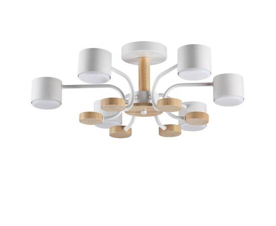 Потолочная люстра Lumion Comfi Rondo 8231/6C