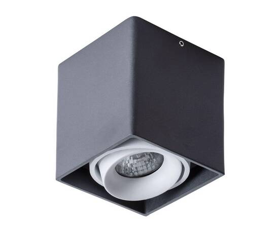 Потолочный светильник Arte Lamp Pictor A5654PL-1BK