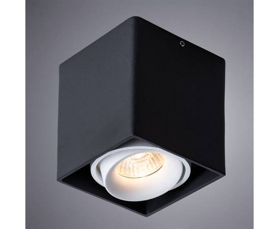 Потолочный светильник Arte Lamp Pictor A5654PL-1BK, изображение 3