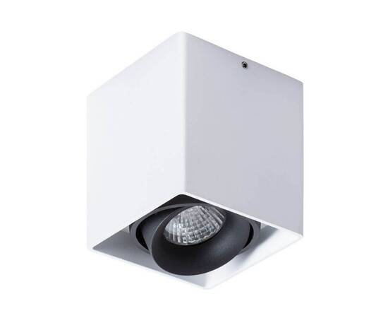 Потолочный светильник Arte Lamp Pictor A5654PL-1WH