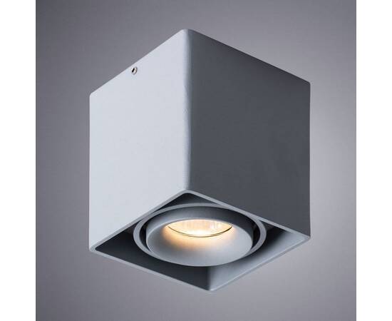 Потолочный светильник Arte Lamp Pictor A5654PL-1GY, изображение 2