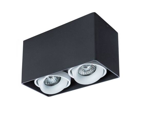 Потолочный светильник Arte Lamp Pictor A5654PL-2BK