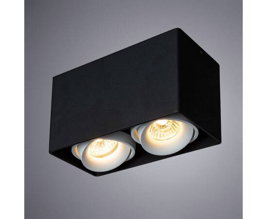 Потолочный светильник Arte Lamp Pictor A5654PL-2BK, изображение 2