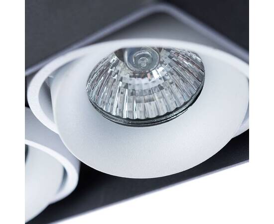 Потолочный светильник Arte Lamp Pictor A5654PL-2BK, изображение 3