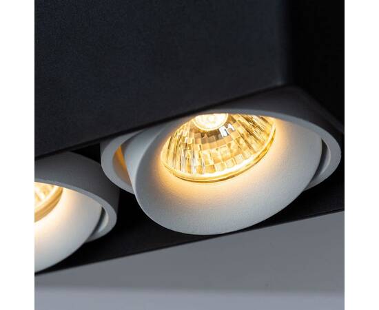 Потолочный светильник Arte Lamp Pictor A5654PL-2BK, изображение 4