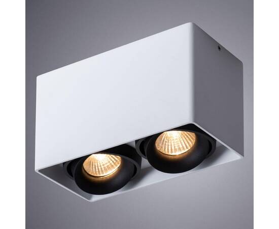 Потолочный светильник Arte Lamp Pictor A5654PL-2WH, изображение 2