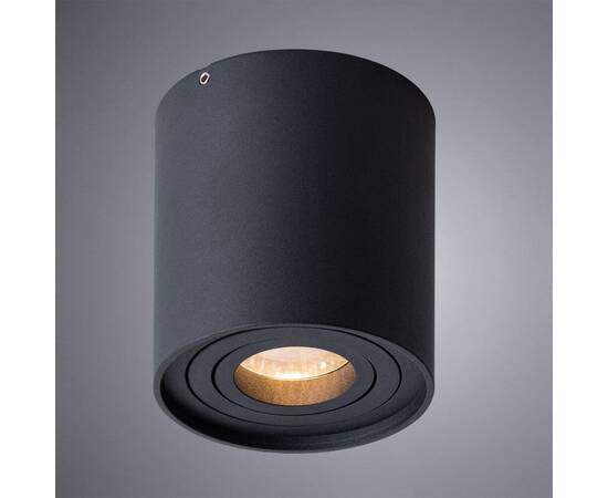 Потолочный светильник Arte Lamp Falcon A5645PL-1BK, изображение 2