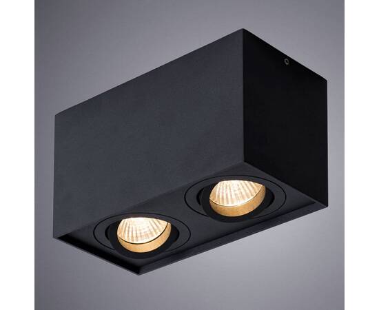 Потолочный светильник Arte Lamp Factor A5544PL-2BK, изображение 2