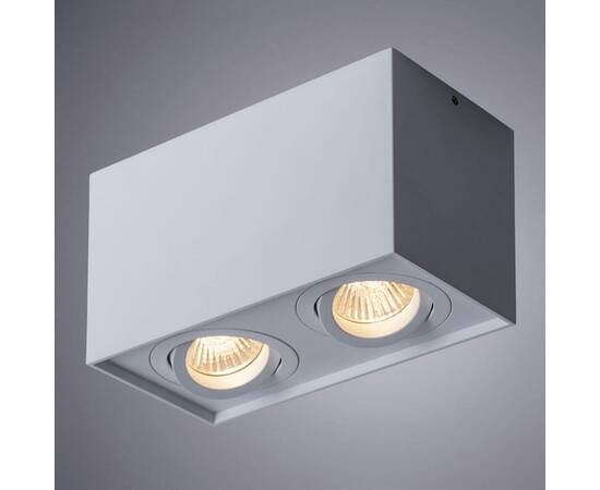 Потолочный светильник Arte Lamp Factor A5544PL-2WH, изображение 3