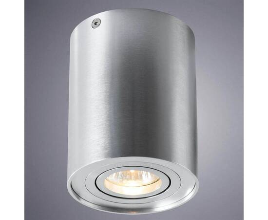 Потолочный светильник Arte Lamp A5644PL-1SI, изображение 3