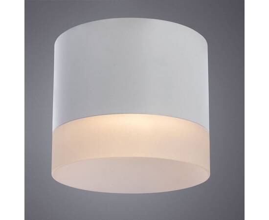 Потолочный светильник Arte Lamp Castor A5554PL-1WH, изображение 3
