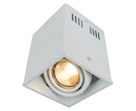 Потолочный светильник Arte Lamp Cardani A5942PL-1WH