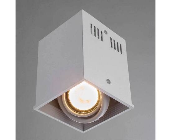 Потолочный светильник Arte Lamp Cardani A5942PL-1WH, изображение 2