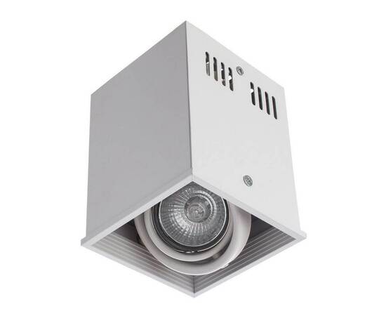 Потолочный светильник Arte Lamp Cardani A5942PL-1WH, изображение 3