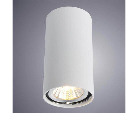 Потолочный светильник Arte Lamp A1516PL-1WH, изображение 2