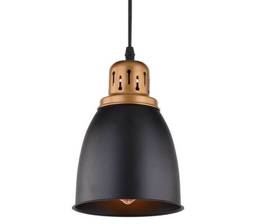 Подвесной светильник Arte Lamp Eurica A4248SP-1BK, изображение 2