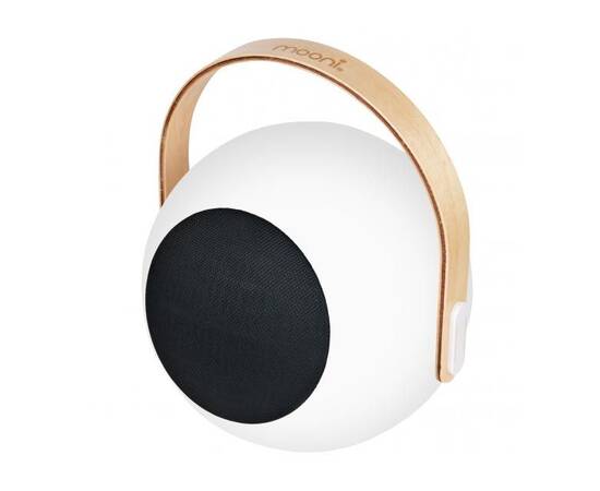 Настольная лампа iLedex Giggle EYS0970-CH WH