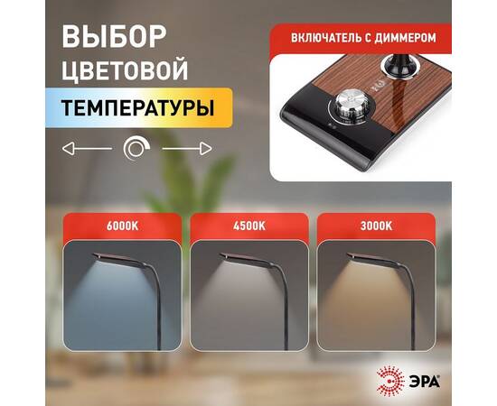 Настольная лампа ЭРА NLED-473-10W-BK Б0033305, изображение 9