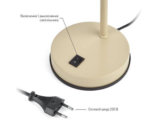 Настольная лампа ЭРА N-117-Е27-40W-BG Б0047194, изображение 5