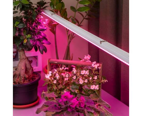 Фитолампа для растений светодиодная ЭРА G13 9W 1200K FITO-9W-RB-Т8-G13-NL Б0042986, изображение 3