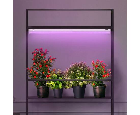 Фитолампа для растений светодиодная ЭРА G13 9W 1200K FITO-9W-RB-Т8-G13-NL Б0042986, изображение 4