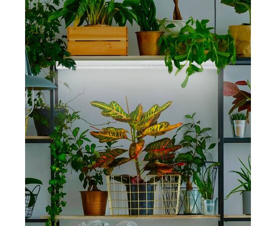 Фитолампа для растений светодиодная ЭРА G13 9W 4000K FITO-9W-Ra90-Т8-G13-NL Б0042988, изображение 3