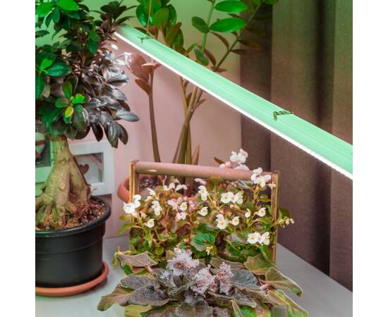 Фитолампа для растений светодиодная ЭРА G13 9W 4000K FITO-9W-Ra90-Т8-G13-NL Б0042988, изображение 4