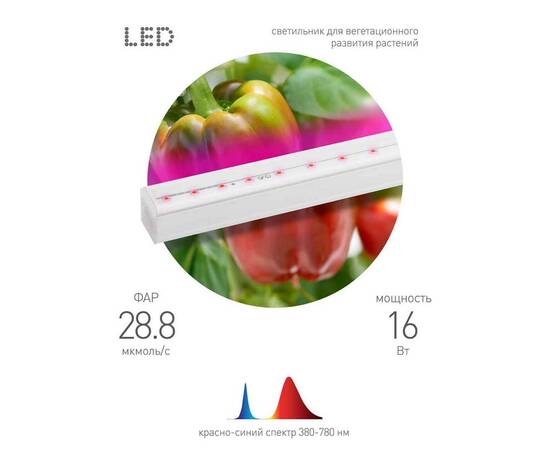 Светильник для растений ЭРА FITO-16W-Т5-N Б0045233, изображение 3
