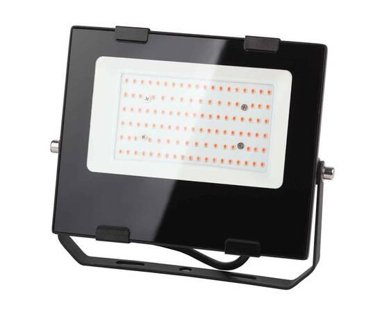 Фитопрожектор для растений ЭРА FITO-50W-RB-LED Б0046368
