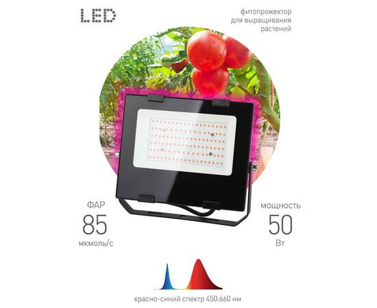 Фитопрожектор для растений ЭРА FITO-50W-RB-LED Б0046368, изображение 2