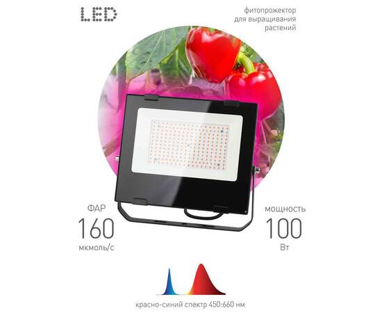Фитопрожектор для растений ЭРА FITO-100W-RB-LED Б0046369, изображение 3