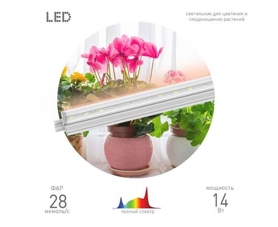 Светильник для растений ЭРА FITO-14W-T5-Ra90 Б0049312, изображение 3