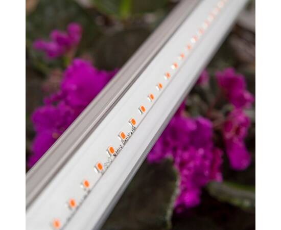 Светильник для растений ЭРА FITO-14W-T5-Ra90 Б0049312, изображение 11