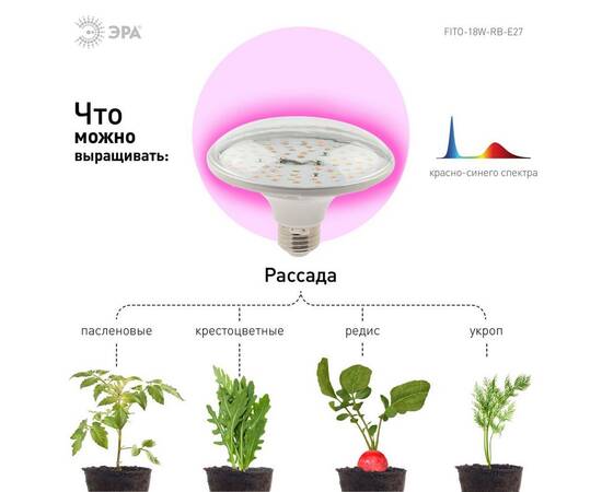 Фитолампа для растений светодиодная ЭРА E27 18W 2370K FITO-18W-RB-E27 Б0049533, изображение 3