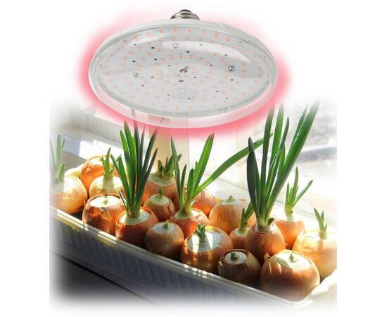 Фитолампа для растений светодиодная ЭРА E27 18W 2370K FITO-18W-RB-E27 Б0049533, изображение 7