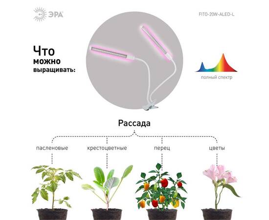 Светильник для растений на прищепке ЭРА FITO-20W-АLED-L Б0049550, изображение 2