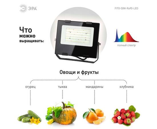 Фитопрожектор для растений ЭРА FITO-50W-Ra90-LED Б0047875, изображение 2