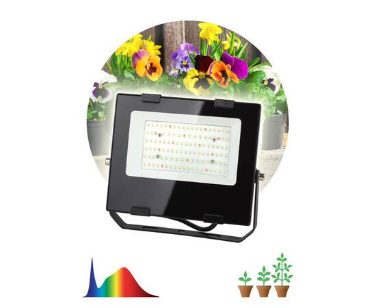 Фитопрожектор для растений ЭРА FITO-50W-Ra90-LED Б0047875, изображение 3