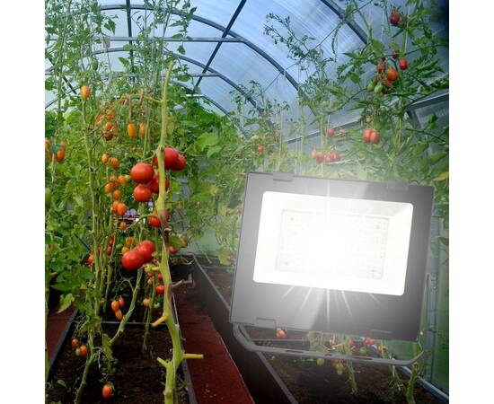 Фитопрожектор для растений ЭРА FITO-50W-Ra90-LED Б0047875, изображение 5