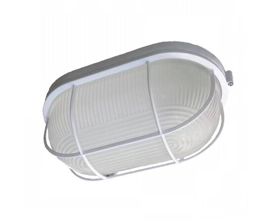 Настенно-потолочный светильник ЭРА НБП 04-100-002 Б0048426