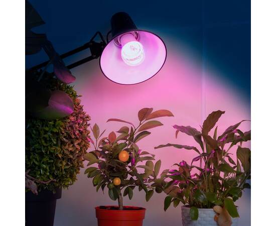 Фитолампа для растений светодиодная ЭРА E27 10W 1310K FITO-10W-RB-E27 Б0050600, изображение 2