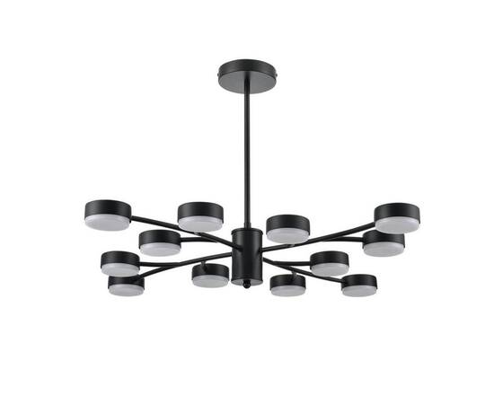 Потолочная люстра Lumion Comfi Torina 8117/12