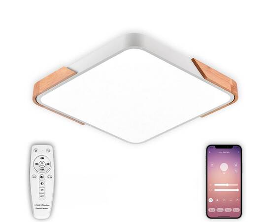 Потолочный светодиодный светильник Natali Kovaltseva LED LAMPS 81410